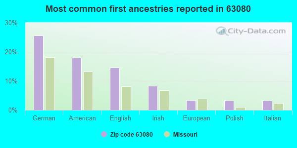 Most common first ancestries reported in 63080