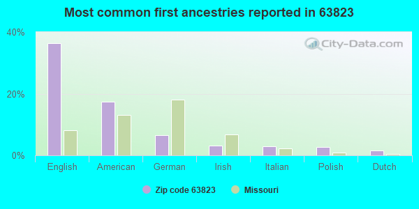 Most common first ancestries reported in 63823
