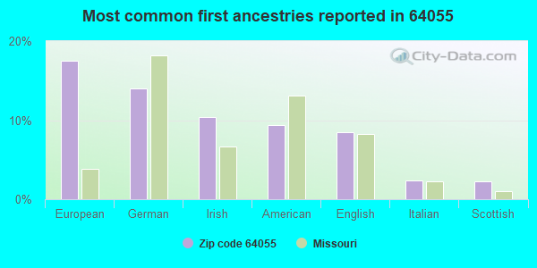 Most common first ancestries reported in 64055