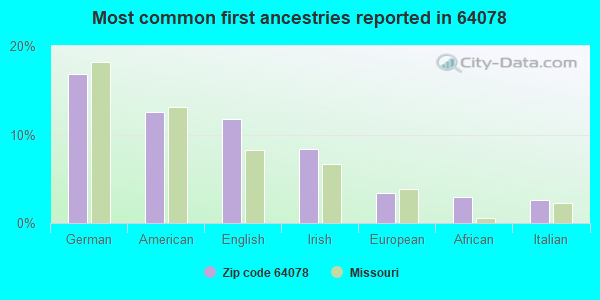 Most common first ancestries reported in 64078