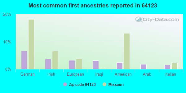 Most common first ancestries reported in 64123