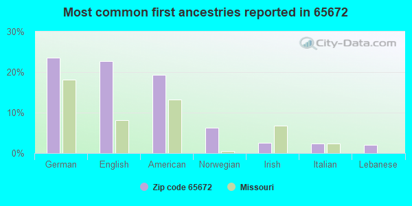 Most common first ancestries reported in 65672