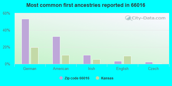 Most common first ancestries reported in 66016