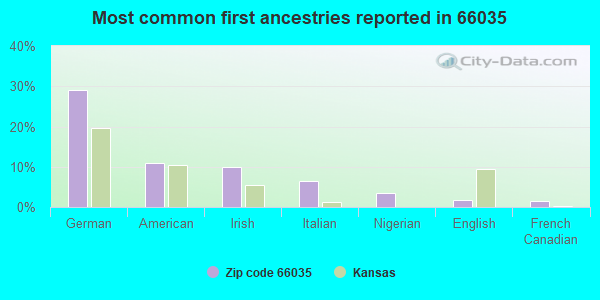 Most common first ancestries reported in 66035