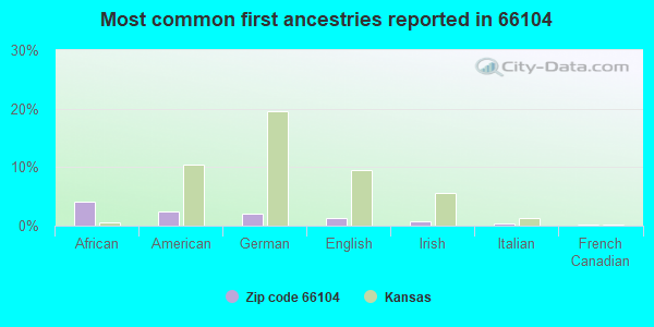 Most common first ancestries reported in 66104