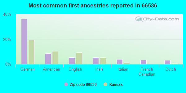 Most common first ancestries reported in 66536