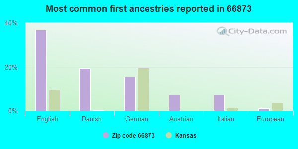 Most common first ancestries reported in 66873