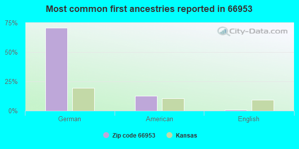 Most common first ancestries reported in 66953