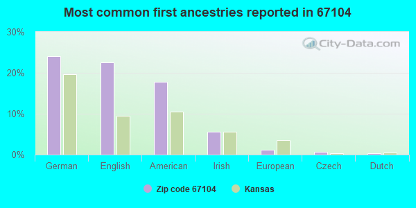 Most common first ancestries reported in 67104
