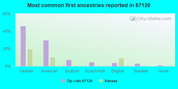 Most common first ancestries reported in 67120