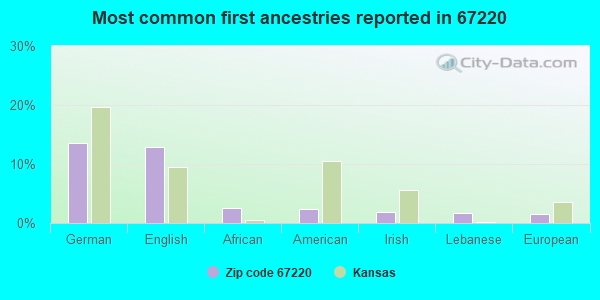 Most common first ancestries reported in 67220