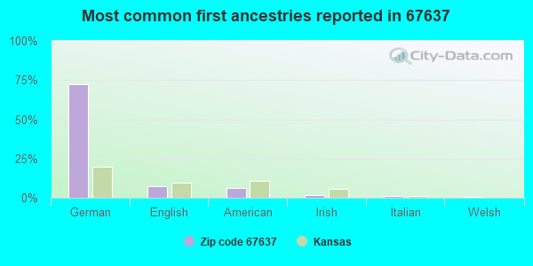 Most common first ancestries reported in 67637