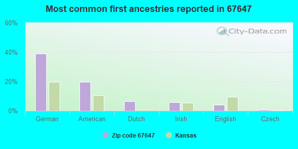 Most common first ancestries reported in 67647
