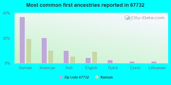 Most common first ancestries reported in 67732
