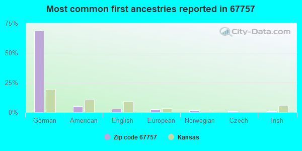 Most common first ancestries reported in 67757