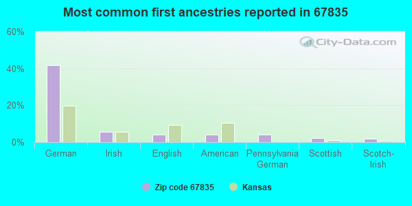 Most common first ancestries reported in 67835