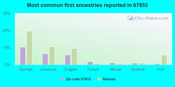 Most common first ancestries reported in 67855