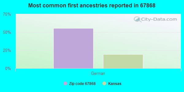 Most common first ancestries reported in 67868