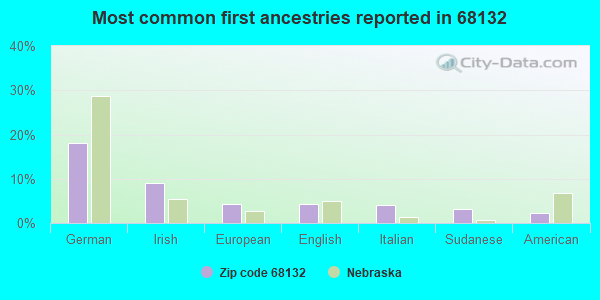 Most common first ancestries reported in 68132