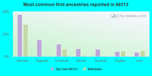 Most common first ancestries reported in 68313