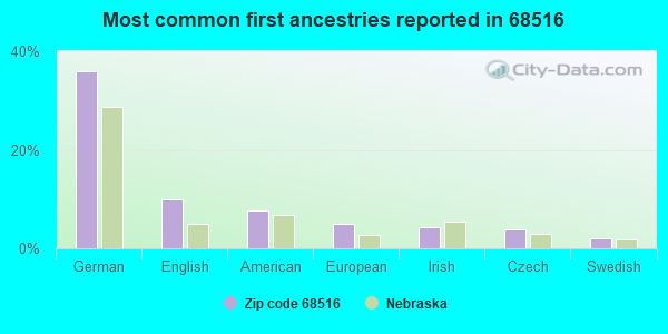 Most common first ancestries reported in 68516