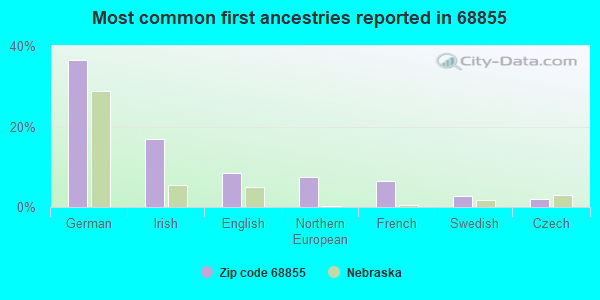 Most common first ancestries reported in 68855