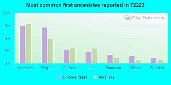 Most common first ancestries reported in 72223