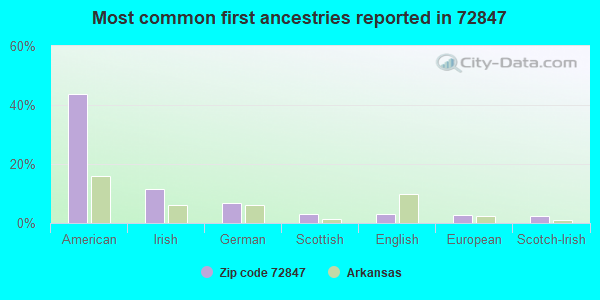 Most common first ancestries reported in 72847