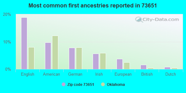Most common first ancestries reported in 73651