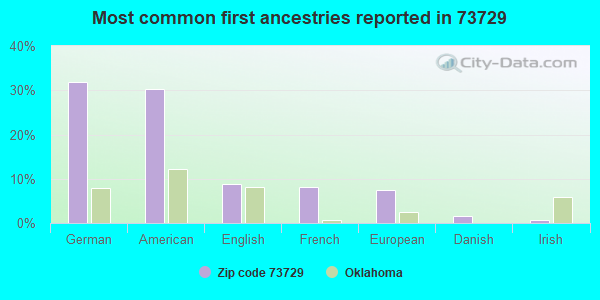 Most common first ancestries reported in 73729