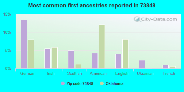 Most common first ancestries reported in 73848