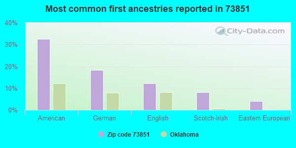 Most common first ancestries reported in 73851