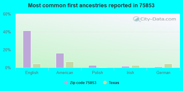 Most common first ancestries reported in 75853