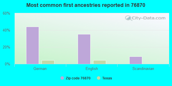 Most common first ancestries reported in 76870