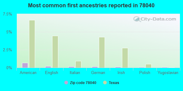 Most common first ancestries reported in 78040