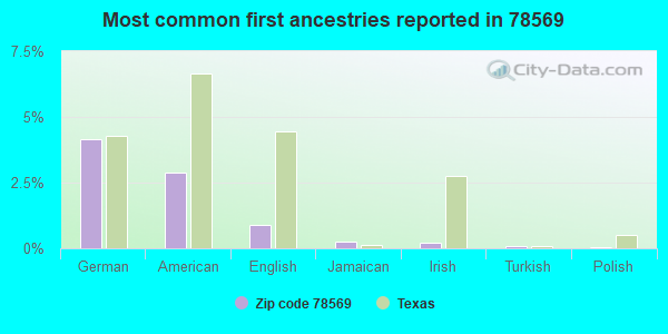 Most common first ancestries reported in 78569