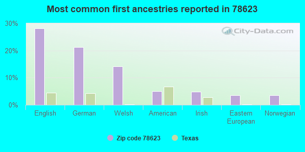 Most common first ancestries reported in 78623