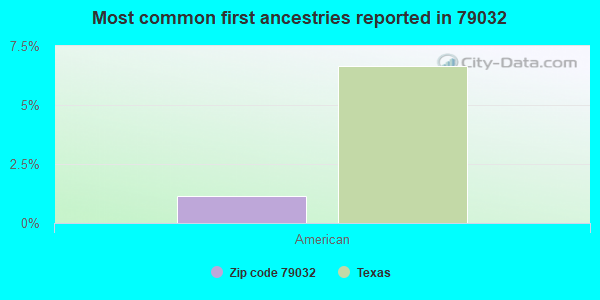 Most common first ancestries reported in 79032
