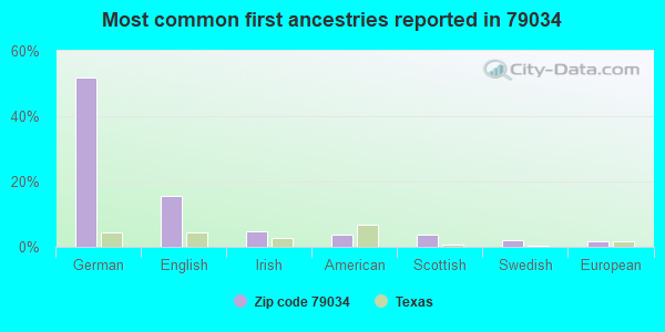 Most common first ancestries reported in 79034