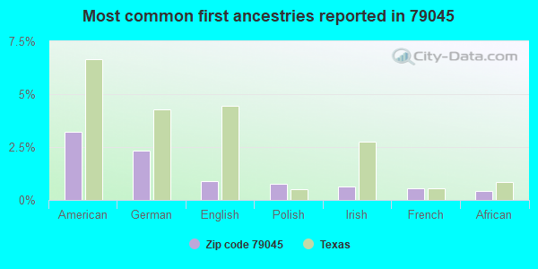 Most common first ancestries reported in 79045