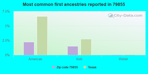 Most common first ancestries reported in 79855