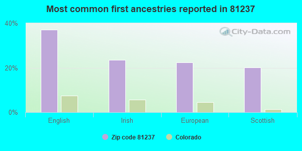 Most common first ancestries reported in 81237