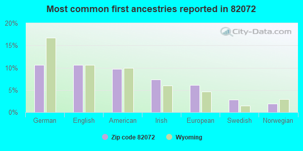Most common first ancestries reported in 82072