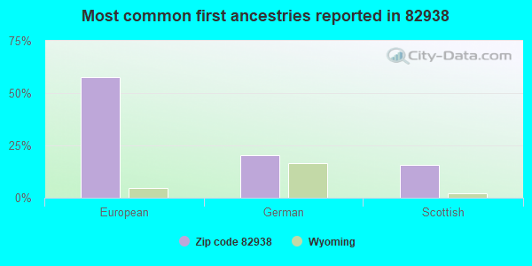 Most common first ancestries reported in 82938
