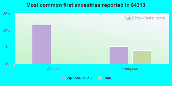 Most common first ancestries reported in 84313