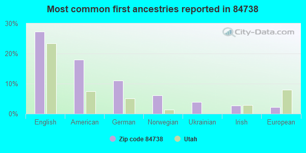 Most common first ancestries reported in 84738