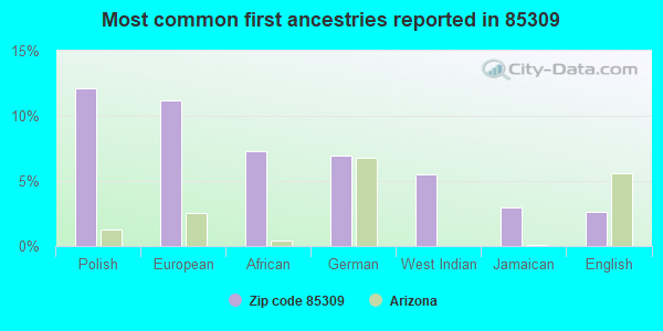 Most common first ancestries reported in 85309