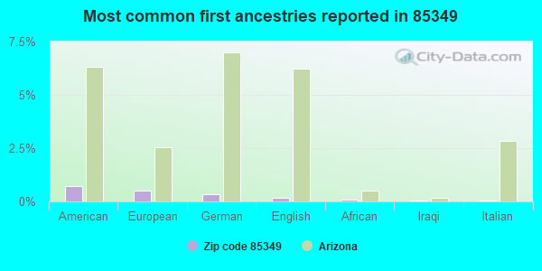 Most common first ancestries reported in 85349