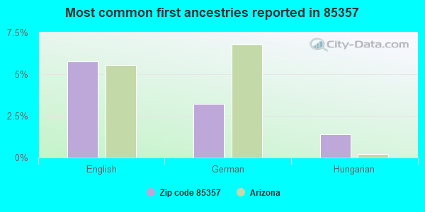 Most common first ancestries reported in 85357