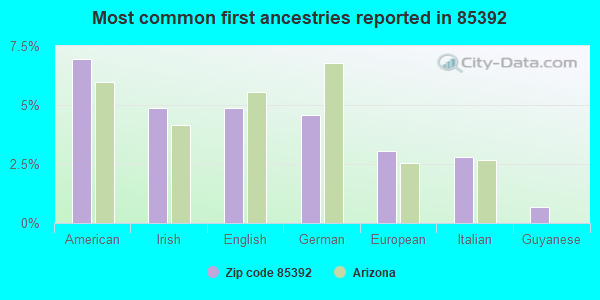 Most common first ancestries reported in 85392